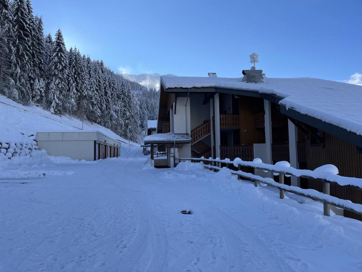 Appartement T3 Châtel Eksteriør bilde